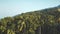 Aerial green jungle forest tropical landscape. Drone shot flying over palm coconut trees