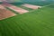 Aerial green wheat field. Aerial view large green field.