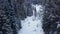 Aerial of groom spinning happy bride holding her in his hands in snow weather fir tree spruce forest during snowfall