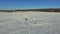 Aerial, group fishermen on the frozen lake in winter