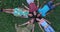 Aerial of group of friends forming a star shape lying in grass