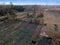 Aerial Harvest Feast: Cows Grazing on Fall Pasture