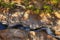 Aerial HDR Rapids Rock Walls