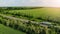 Aerial. Heavy truck driving by the countryside road between fields