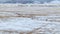 AERIAL: A herd of wild deer stampedes across the snowy prairie in Montana.