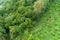 Aerial high angle view top down rainforest trees Ecosystem and healthy environment background