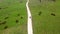 Aerial Of The Hilly Road With Driving Lonely Car