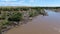 Aerial of hippopotamus in african river in Serengeti