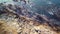 Aerial hovering over cliff and ocean in Brittany, 4K sequence 1 of 2 - Above colorful moorland, heather, rocks, and reefs.