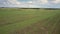 Aerial huge green wheat field near forest under cloudy sky