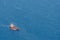 Aerial image of Altera 1 LPG tanker vessel at sea