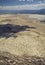 Aerial image of the Alvord Desert, Oregon, USA