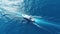 Aerial image of boat in the ocean