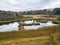 Aerial image of a pond with floating turf mats