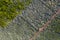 Aerial image showing typical vineyard culture viticulture landscape of Pico Island at CriaÃ§Ã£o Velha and CandelÃ¡ria, Madalena