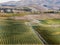 An aerial image of a vineyard in Marlborough region of the South Island of New Zealand