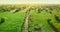 Aerial landscape of green fields with grass and trees and countryside road