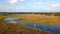 Aerial landscape, Mamili swamp in northen Namibia