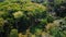 Aerial landscape of tropical forest on the mountain and man walking there on the footpath