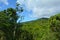 Aerial landscape view of Daintree National Park Queensland Australia