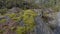 Aerial landscape view of green rocky canyon mountains with sunset sky with peaks with grass in sikkim