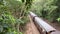 Aerial landscape view of Kuranda Scenic Railway