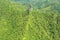 Aerial landscape view of Te Rua Manga mountain Rarotonga Cook Is