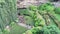 Aerial landscape view of Umpherston Sinkhole