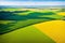 Aerial landscape view of yellow cultivated agricultural fields with ripe wheat and green woods on bright