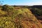 Aerial landscape view of yellow wildflowers blossom against Irwin river Victoria Plateau Western Australia