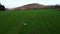 Aerial of a little boy running the field with yellow forested mountain and gloomy sky background