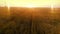 AERIAL long warm evening sunset fly over wheat rye oats millet agriculture harvest field.