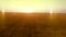 AERIAL long warm evening sunset panorama over wheat rye oats millet agriculture harvest field.