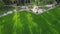 Aerial look down shadow coconut tree