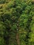 Aerial look down three buffaloes