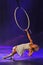 Aerial lyra act in circus