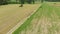 Aerial: man cycling along country road through cultivated fields and farmland, sunny day, eco friendly transportation on cycle lan