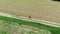 Aerial: man cycling along country road through cultivated fields and farmland, sunny day, eco friendly transportation on cycle lan
