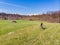 Aerial: man having fun by riding mountain bike in the grass on sunny day, scenic alpine landscape, fitness wellbeing sport in