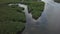 Aerial of a mangrove forest on Siargao island