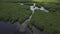 Aerial of a mangrove forest on Siargao island