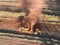 Aerial of a manure spreader machine riding through the field in Urania, USA