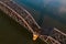 Aerial of Massive Railroad Bridge Over Ohio River - Norfolk Southern Railway - Kenova, West Virginia & Ohio