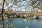 Aerial Metro traffic on Bir-Hakeim bridge with Cherry tree in full bloom - Paris