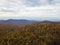 Aerial of Michaux State Forest in Pennsylvania During Fall in th