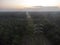 Aerial morning scene of the electric tower at palm oil agriculture farm