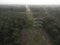 Aerial morning scene of the electric tower at palm oil agriculture farm