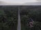 Aerial morning scene of the electric tower at palm oil agriculture farm