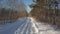 Aerial motion above empty rural road in winter forest