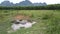 Aerial motion to buffaloes bathing in puddle aerial view